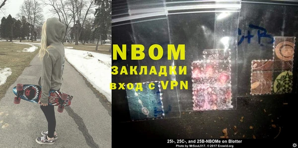 индика Костерёво