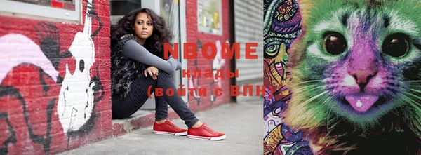 индика Костерёво