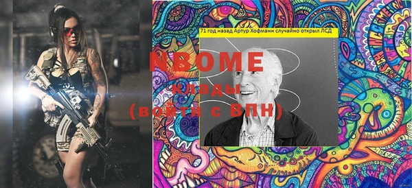 индика Костерёво