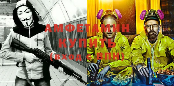 индика Костерёво