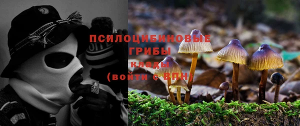 индика Костерёво